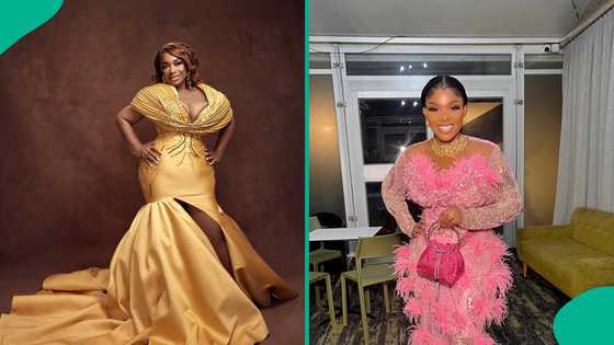 “Iyabo Ojo got pregnant at 19 after I got her role’: Bimbo Akintola opens up in new interview