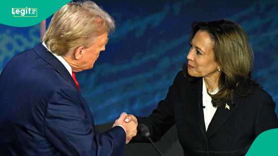 Trump Vs Harris: Harvard CAPS, other latest polls predict winner of US 2024 presidential election