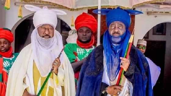 Bidiyon Sarkin Kano da Sarkin Bichi yayin ziyarar mubaya'a ga sarkin Gwandu