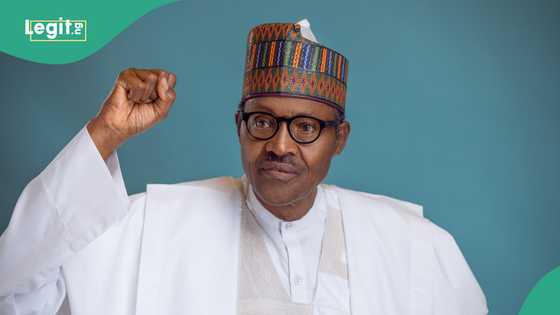 Buhari’s funeral: Rare video shows graveyard where ex-president was buried