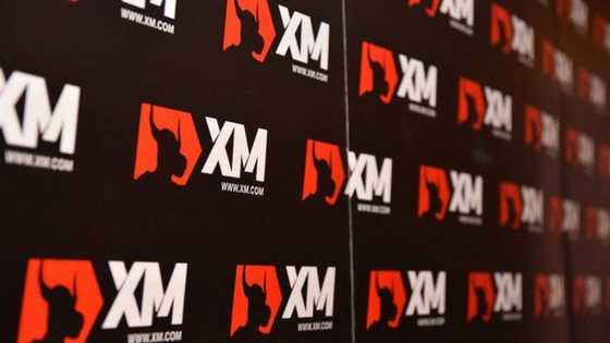 XM Broker: Build your Investments Like Building your House