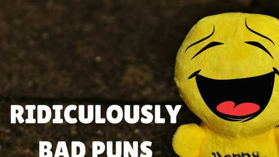 50+ ridiculously bad puns that have no business being so funny