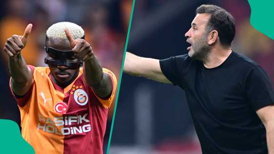 Galatasaray coach Okan Buruk reacts after Victor Osimhen scores on his 50th appearance