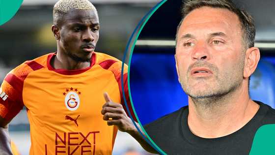 Galatasaray coach identifies Victor Osimhen’s replacement after striker’s injury