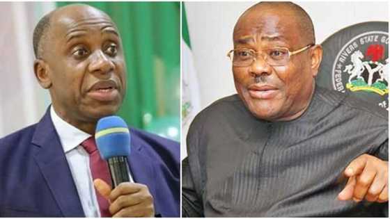 BREAKING: PDP wins Rotimi Amaechi's local government with wide margin