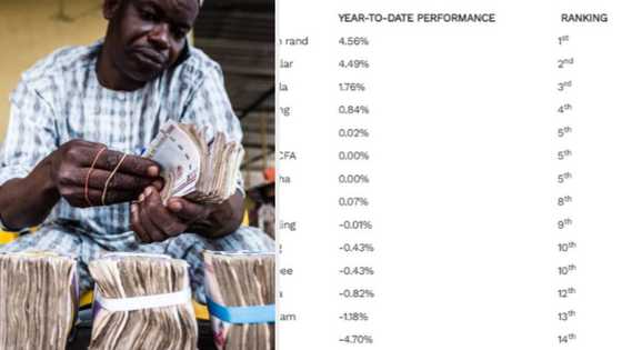 Black market traders make millions as Naira falls to N593/$1 now the third worst-performing currency in Africa