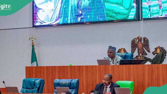 Ambaliyar Maiduguri: 'Yan siyasa sun zabura, majalisar wakilai ta tallafa da N100m
