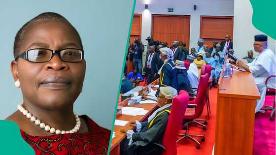 “Don’t insult the intelligence of Nigerians,” Ezekwesili slams Senate over Electoral Act review