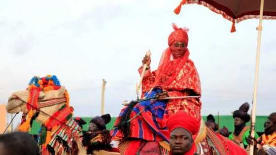 Yadda aka jefa ni kurkuku na shekara 1 a lokacin Abacha - Sanusi ya bude faifan da ba a tabawa