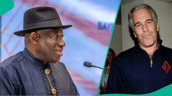 Abin da ya hana Epstein kasuwancin mai a Najeriya, ya shiya ganawa da Jonathan