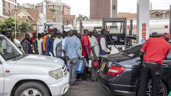 Depot owners cry out as Dangote Refinery crashes price, dominates market