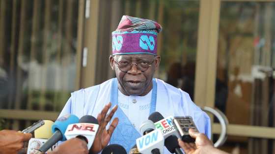 Bola Tinubu warns Nigerians about plot by forces to start crisis