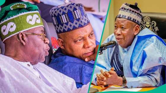 'An taso Kashim Shettima a gaba': Ƴan Borno sun jefo zargi bayan murabus ɗin Ganduje