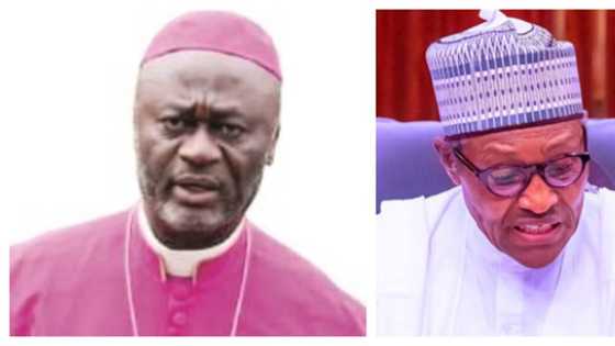 There’s more politics among churches than in Buhari's office - Top bishop