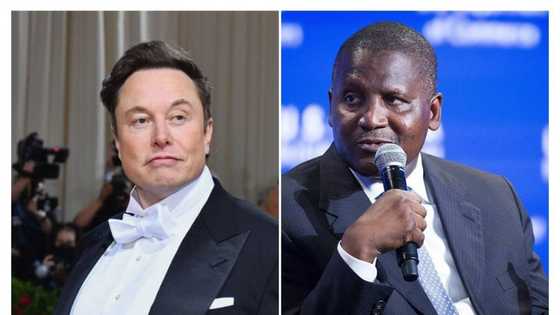 Elon Musk’s tumbling fortunes still makes him far richer than Dangote, Africa’s richest man