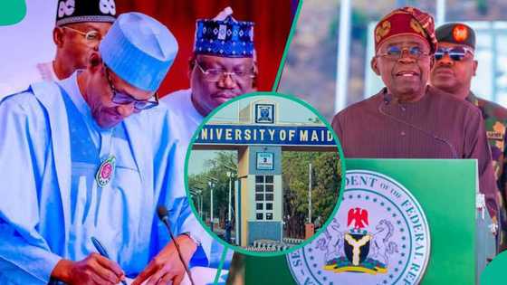 UNIMAID: Karrama Buhari ya jawo rigima, Tinubu ya sake shiga matsala kan lamarin