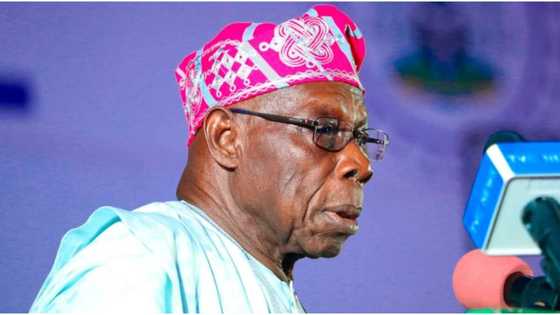 Obasanjo Finally Reveals What Politicians Do During Elections, Spills Strong Truth