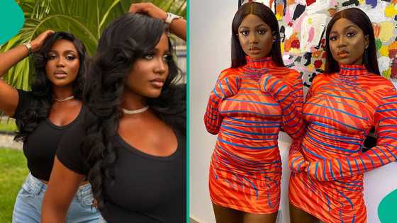 BBNaija season 10: Excitement builds as Wanni and Handi make their comeback to the House