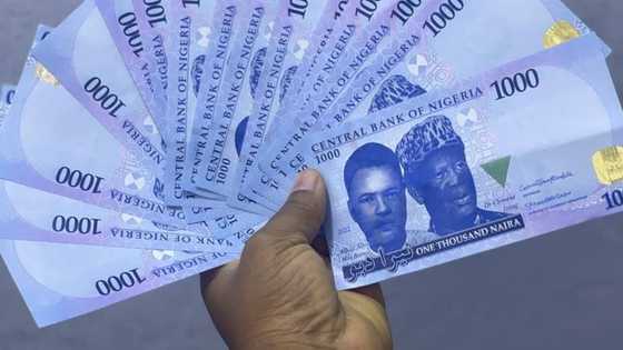 Wahala Ta Kare: An Fara Zuwa Gida-Gida Rabawa Mutane Sabbin Kuɗi a Jihar Kano