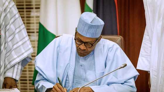 Buhari blows hot, orders manhunt for perpetrators of Maiduguri killings