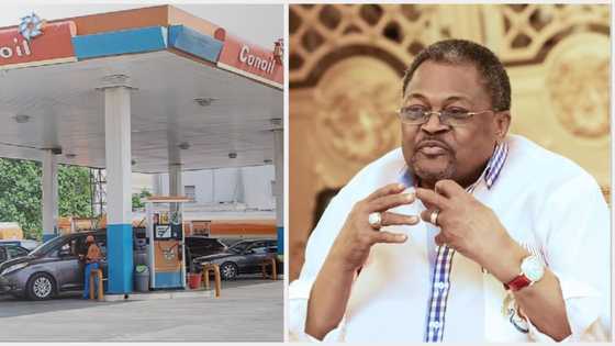 Mike Adenuga's Conoil records 400% increase in profit as revenue from petroleum products sales exceeds N34bn