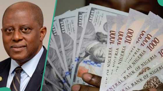 Good news for naira: CBN to sell dollar at retails auction, announces date