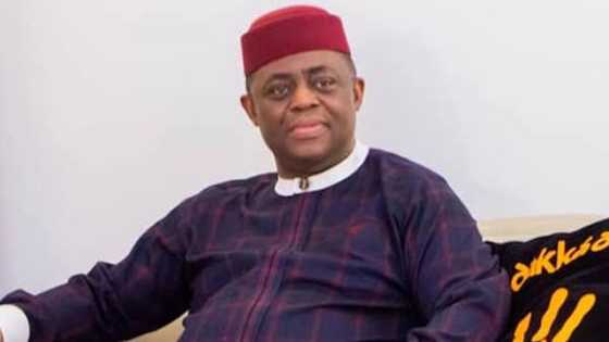 2023 presidency: Juicy positions Fani-Kayode might get as rewards for defecting to APC
