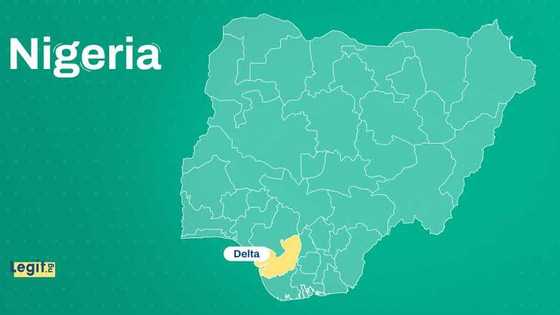 Several people killed, others injured as festival turns fatal in Delta