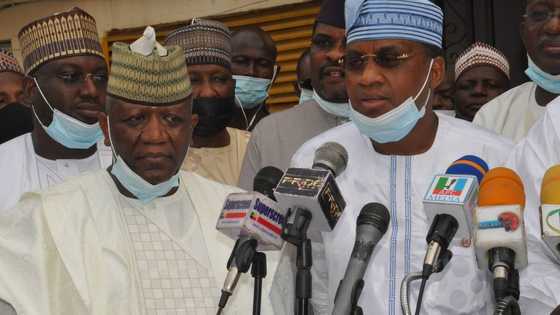 Zamfara APC chieftain calls for expulsion of ex-governor Yari, Marafa