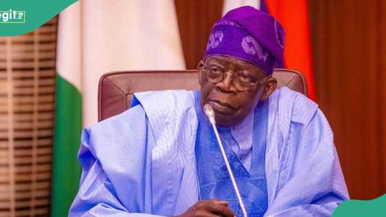 Tinubu gave N100m to national assembly members as palliatives? House of reps react