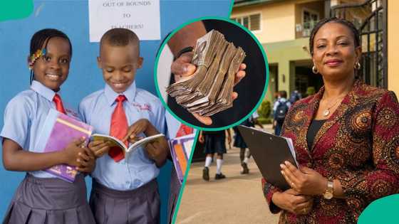Private school fees soar by 100% as Nigerian parents struggle with rising education costs