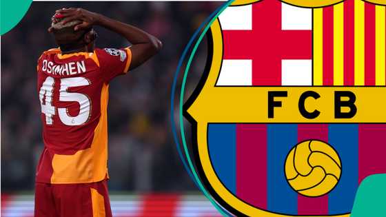 Osimhen suffers another setback as Barcelona reject new transfer proposal