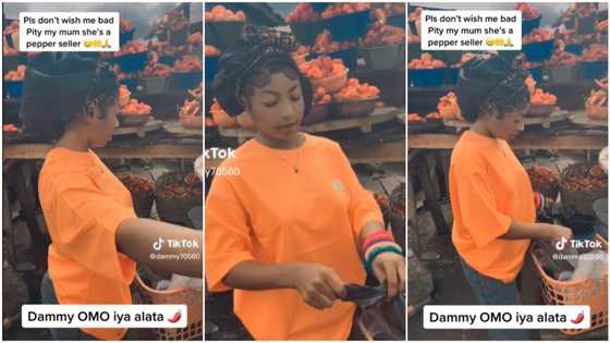 Beautiful lady with frontal hair and light complexion assists her mum to sell pepper in market, video trends