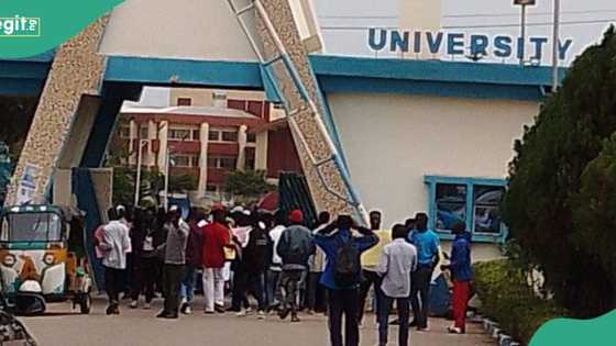 Strike looms as ASUU branches suspend lectures, reason surface