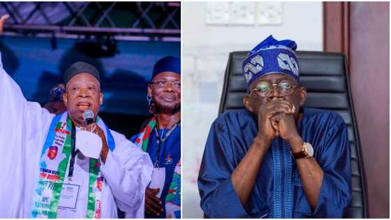 2023: ‘No option to victory for Tinubu, we must win presidency’, APC chairman, Adamu declares