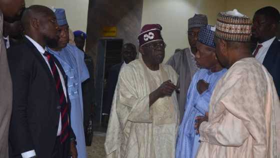'Barin Zance: Gwamnonin APC 3 Sun Jagoranci Tinubu Domin Kai Wa Buhari Ziyarar Dannar Ƙirji