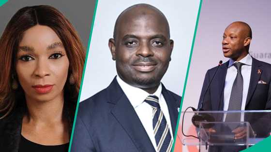 Full list: Names of bank CEOs with highest salaries in Nigeria