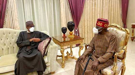 Why Buhari visited Tinubu in London - Presidency opens up