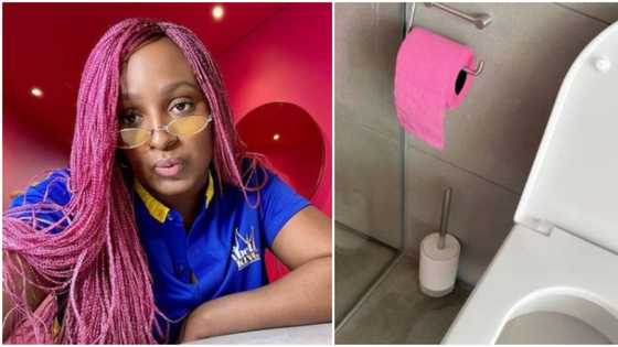 Billionaire daughter DJ Cuppy shows off pink toilet paper