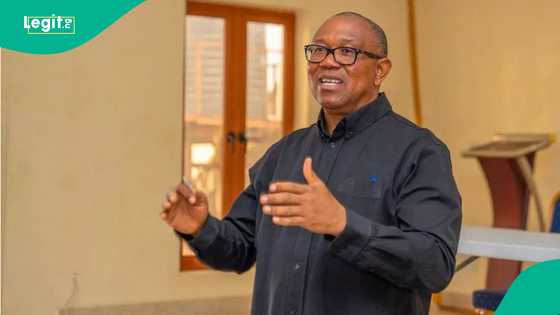 2027 presidential elections: Is Peter Obi considering OPP, POP as options? Obidient Movement speaks