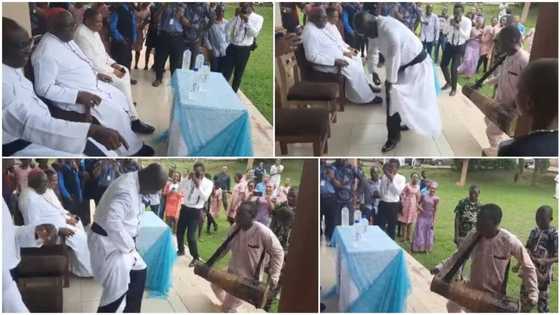 Sweet moment bishop can't keep still as men beat talking drums for him, he stands up and dances in viral video