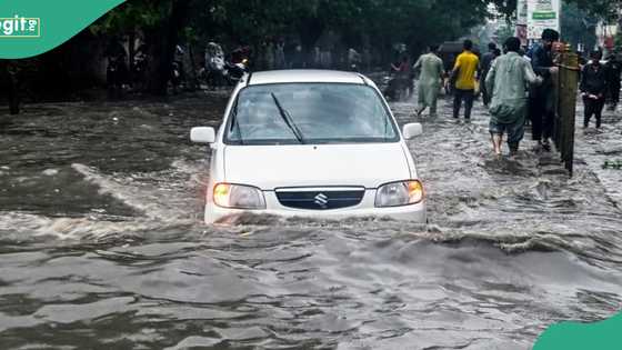 Hundreds dead as devastating rainfall triggers heavy flood, ravages communities