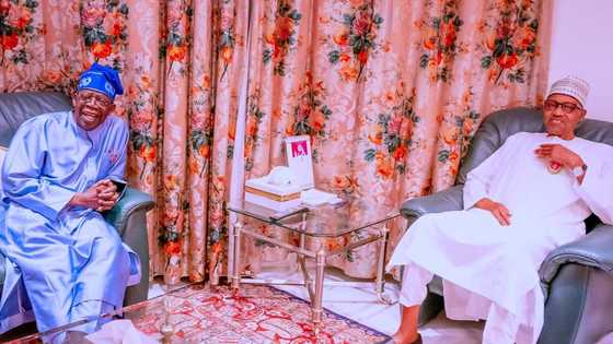 Buhari Ya Hadu da Tinubu, Ya Fadi Abin da Ya Sa Ba a Ganin sa Wajen Yi wa APC Kamfe