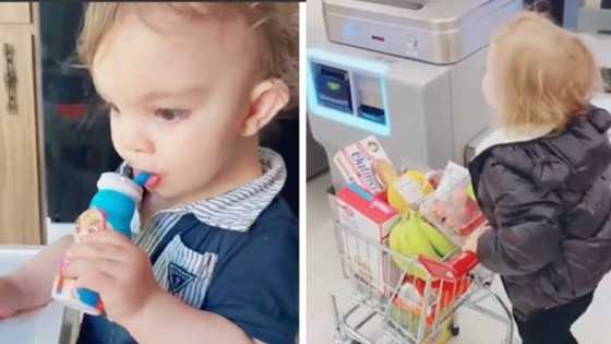 3-year-old smart kid doing his shopping by himself wows many in amazing video