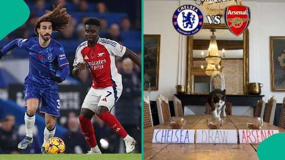 Chelsea vs Arsenal: Mysterious cat which predicted Club World Cup final chooses EPL match winner