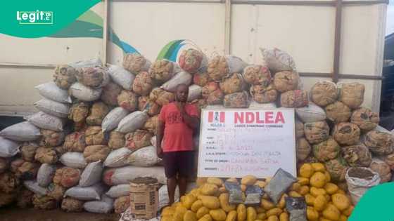 Dilolin kwaya 2 sun gamu da hukumar NDLEA, kotu ta yanke masu shekaru 10 a kurkuku