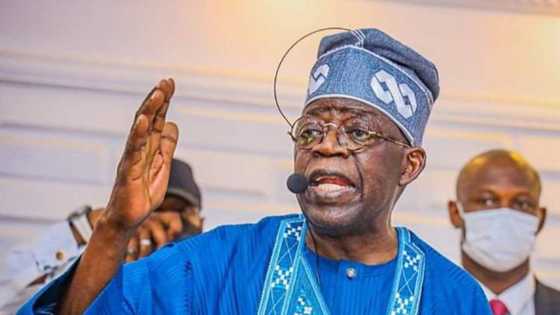 2023: Timi Frank urges INEC to disqualify Tinubu over certificate controversy
