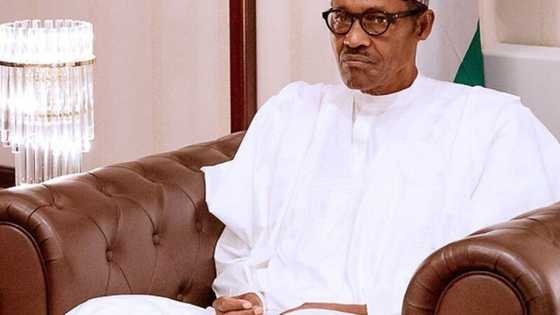 Hadari ne babba yin biris da batun Asari Dukubo, Tofa ya gargadi Gwamnatin Buhari