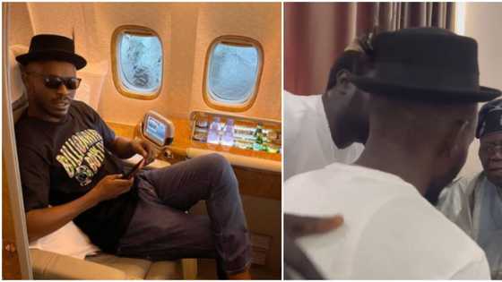 He has been fighting for your cause: Moment Seyi Tinubu introduced comedian Mr Jollof to his dad, many react