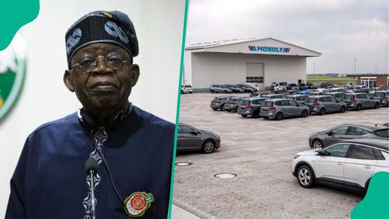 Over 40,000 jobs set to be created from NADDC’s vehicle regulation